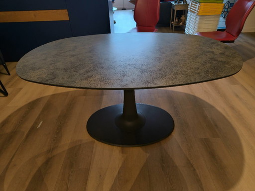 Leolux Columna dining table, spherical oval, 165 x 110, ceramic top