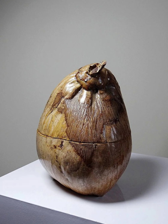 Scatola curiosa vintage anni '50-'60, secchiello per ghiaccio in cocco naturalizzato., Accessori da tavola (foto 3 di 14)