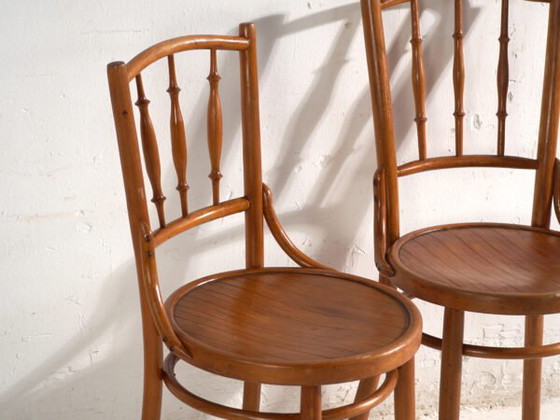 Sedie antiche in legno curvato stile Thonet – Ungheria, circa 1960 #8 – Sedie da pranzo (photo 17 of 40)