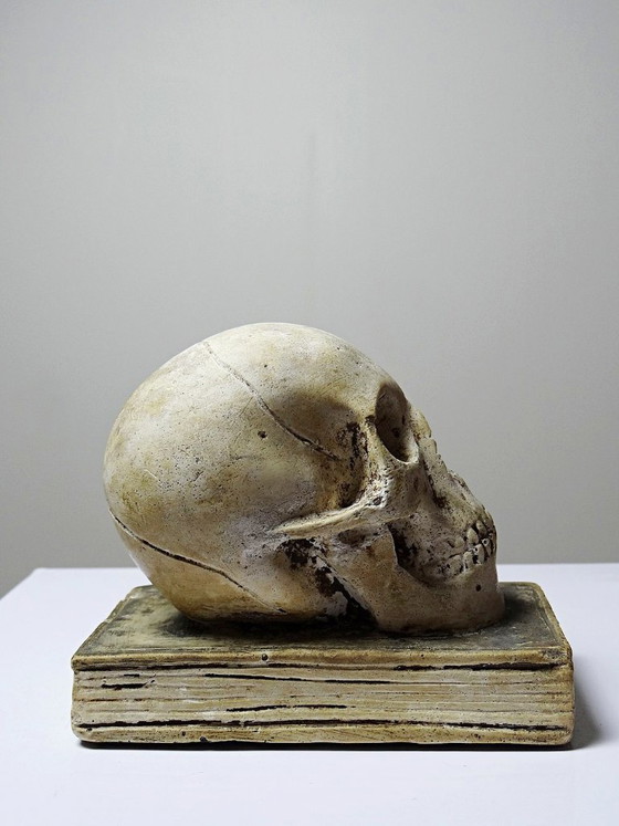 Image 1 of Ancien Memento Mori en plâtre, crâne sur livre, curiosité fin XIXe début XXe