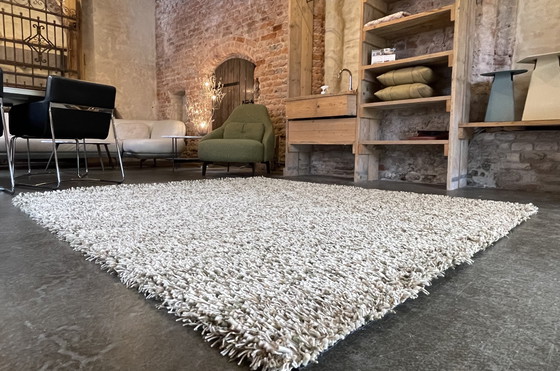 Image 1 of Brink en Campman Spring carpet Moss