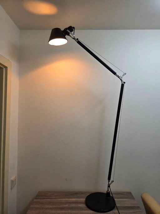 Artemide Tolomeo Lettura floor lamp