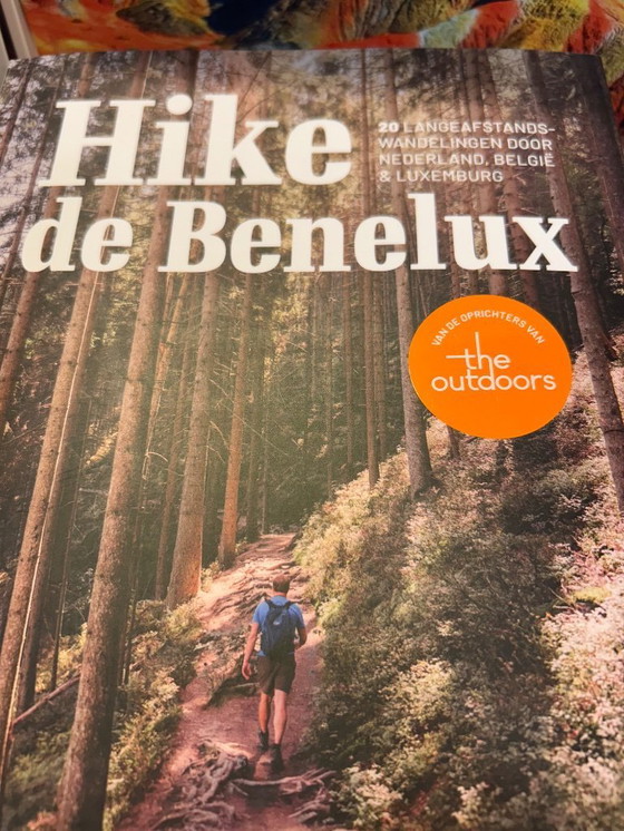 Image 1 of 4 x Faux bamboo chairs