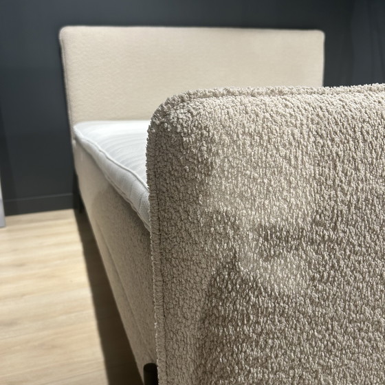 Image 1 of Prune Eastborn 180x200