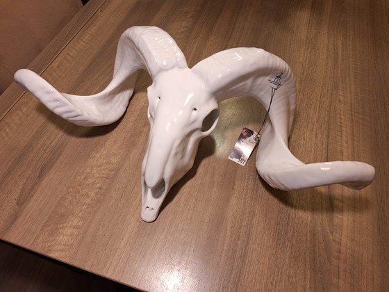 Image 1 of Bellissimo teschio di ariete in ceramica
