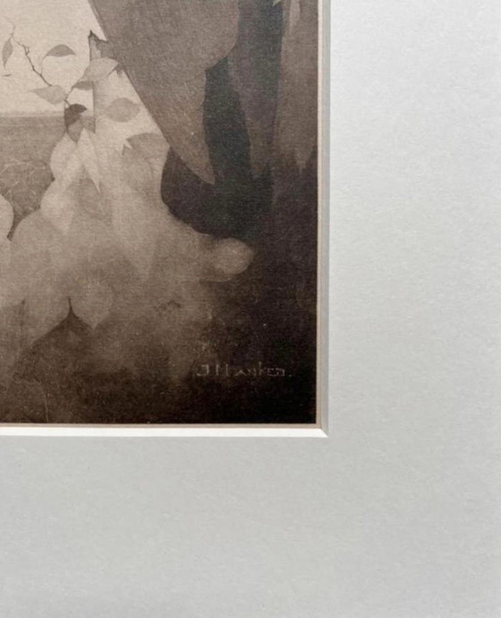 Image 1 of Jan Mankes 1889-1920 / Héliogravure originale Corbeau à Berkenboom 1923