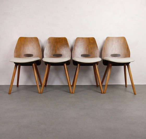 Image 1 of 4x Sedie d'epoca Tatra Pravenec "Gentleman" - 1963