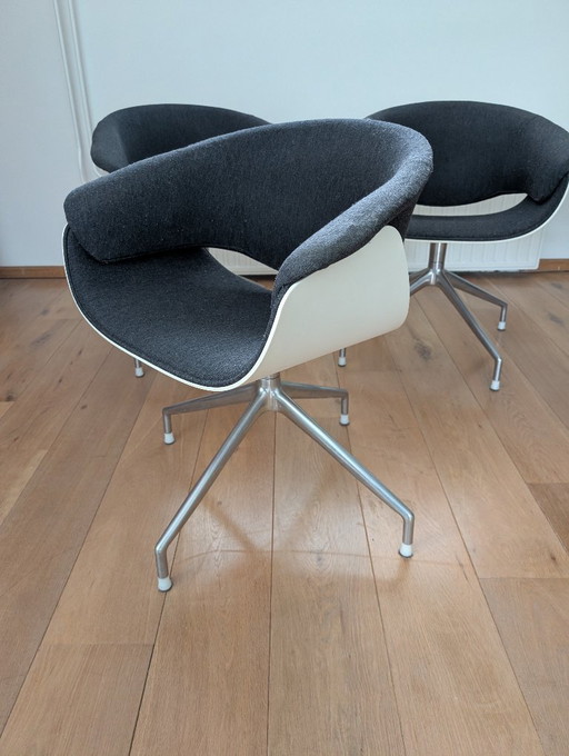 4 sedie Sina B&B Italia