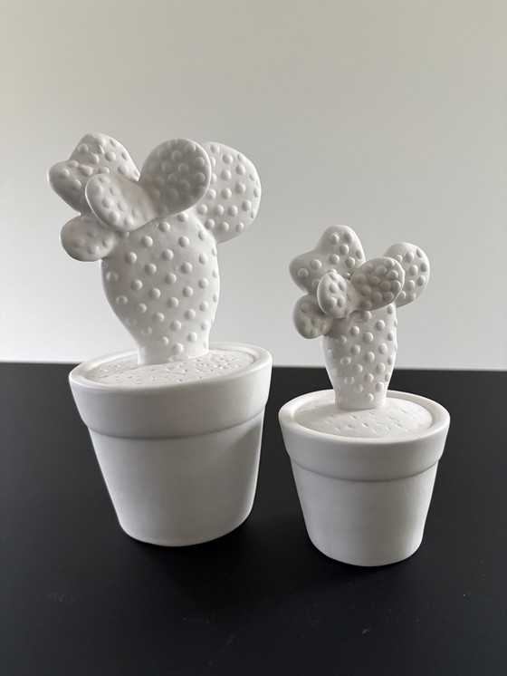 Image 1 of Set of two cacti, rough ceramic