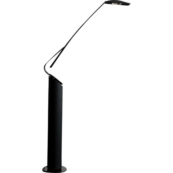 Image 1 of Vintage Dove Lettura floor lamp by Marco Colombo & Mario Barbaglia, 1980