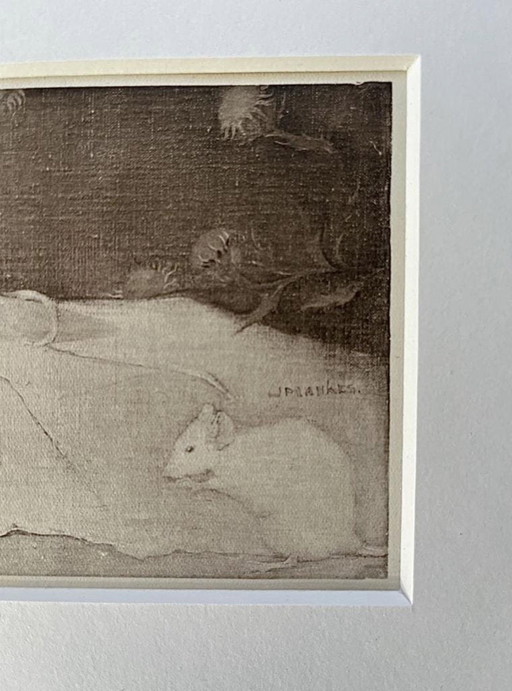 Jan Mankes 1889-1920 / Originele Heliogravure Muizen Op Perkamenten Boek 1923 – lithos zeefdrukken, Paper (photo 2 of 8)