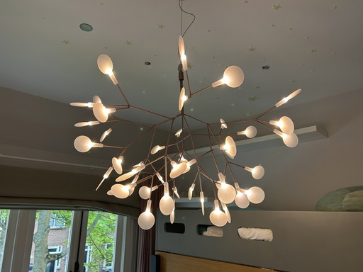 Heracleum lamp small van Moooi