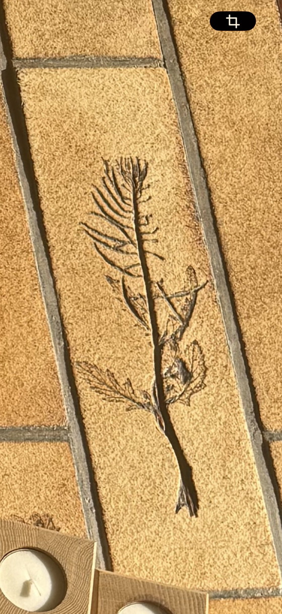 Image 1 of Garrigue" serie Roger Capron salonfatel