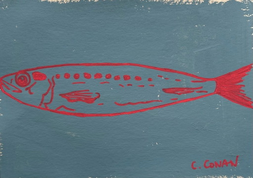 Acryl Vissen Rode Sardine