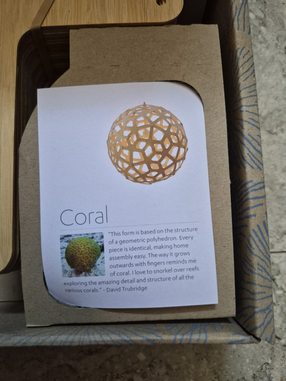 Image 1 of DESIGN hanglamp Coral  (David Trubrige)
