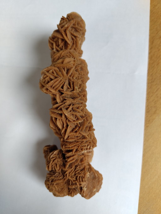 Rosa di sabbia rosa del deserto rosa di gesso lunga 15 cm