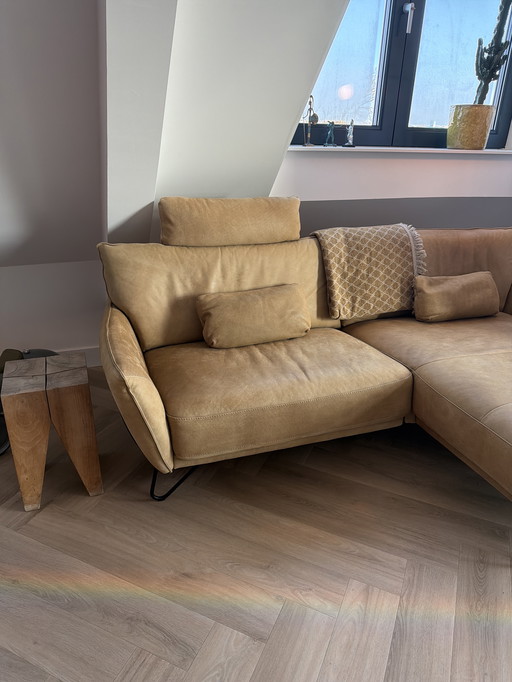 BANK, capo TOGO NUT!