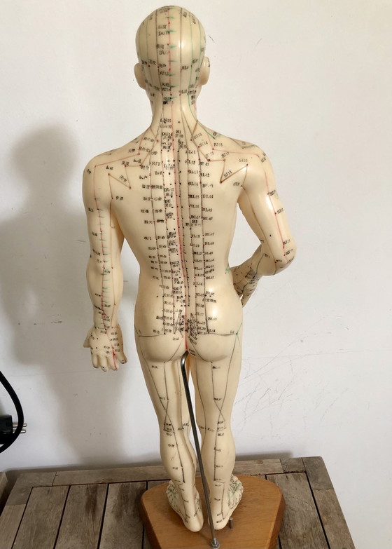 Image 1 of Beautiful Vintage Doll With Acupuncture Meridians