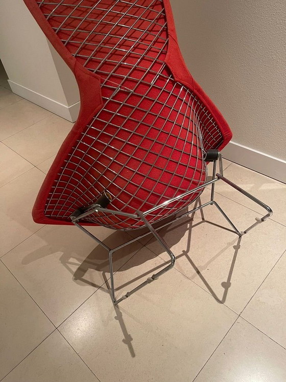 Bertoia Bird Chair – Knoll, Poltrone, Metallo, Tessile (photo 5 of 5)