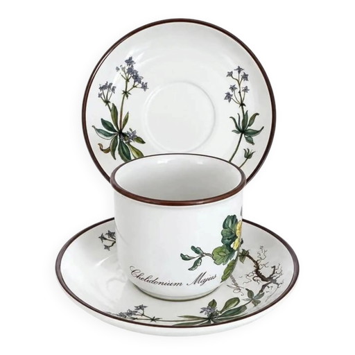 Tasse Chelidonium Majus & Soucoupe Asperula Odorata - Villeroy & Boch Botanica