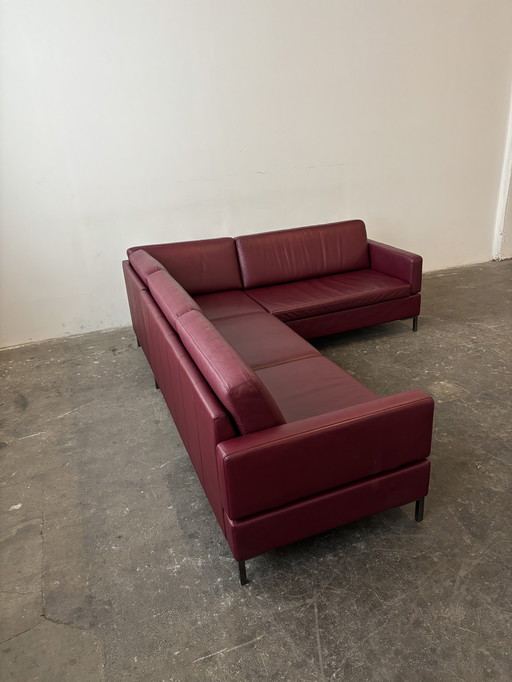 Brühl Alba designer sofa couch, leather, top condition!