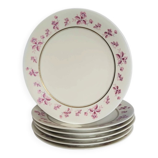 6 platos de porcelana de Limoges - Raynaud & Cie