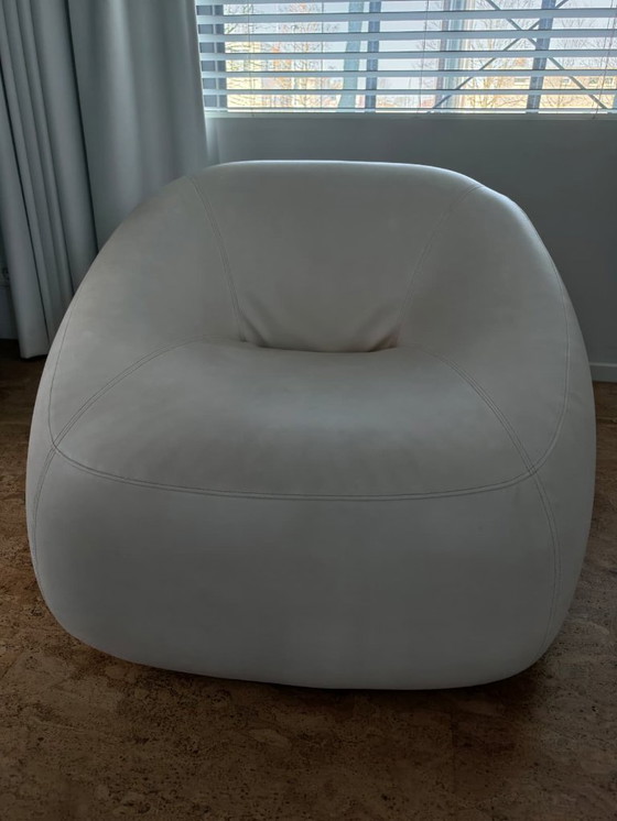 Image 1 of Artifort Swamp R sculptural lounge chair