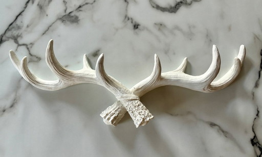 Cornes décoratives en résine