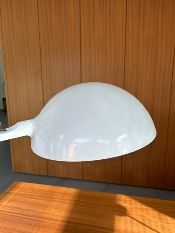 Martinelli Luce Flex Calotta 660 – Tischlampen, Metal, Plastic (photo 6 of 7)