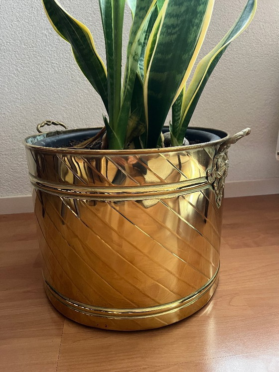 Image 1 of Artikel aus gelbem Kupfer (6 Stück)