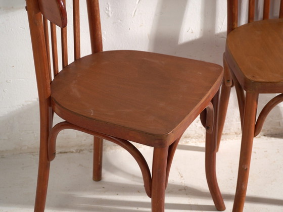 Sedie antiche in legno curvato stile Thonet – Europa Centrale, c. 1930 - Set di 4 pezzi #7 – Sedie da pranzo (photo 39 of 40)