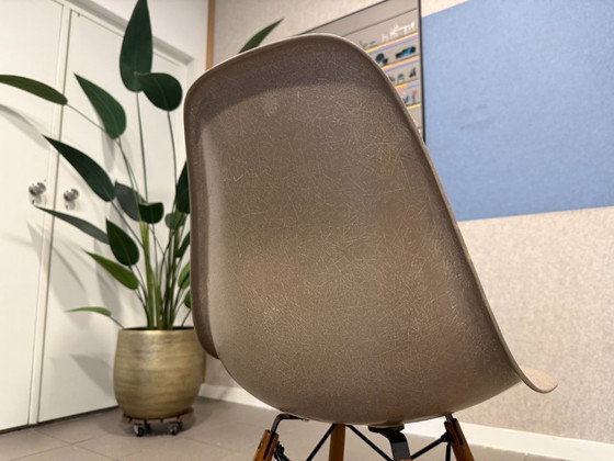 Herman Miller | Eames | DSW | Fibre de verre gris-beige | 4 pièces – Chaises de salle à manger, Metal, Wood (photo 6 of 13)