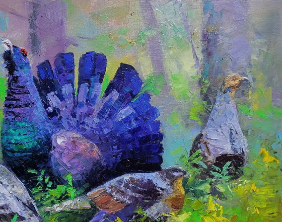 Image 1 of Black grouse in the summer forest