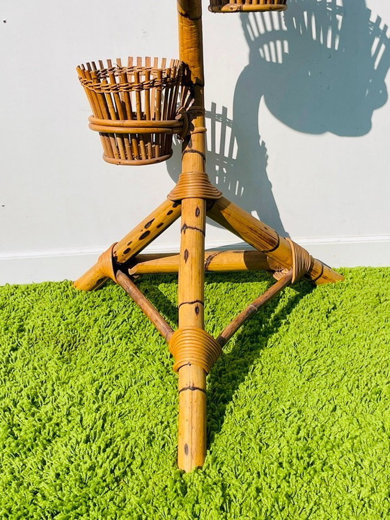 Image 1 of Supporto per piante a forma di serpente in bambù anni '50 * Vintage* Porta piante