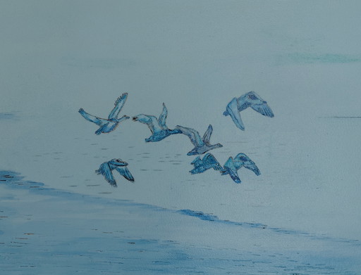 The Dreamward Flight Gallery Suncorner