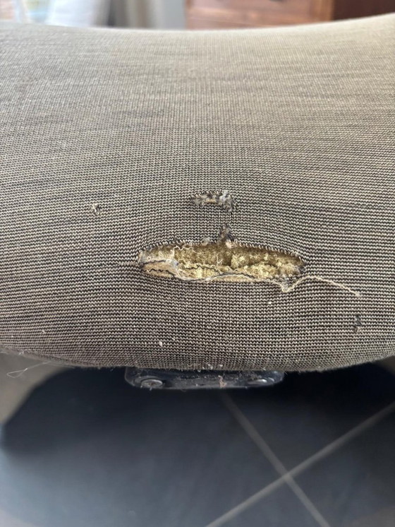 Image 1 of Vintage Artifort F577 Tongue Chair - Pierre Paulin (1967)