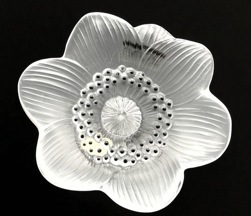 Lalique – Anemone