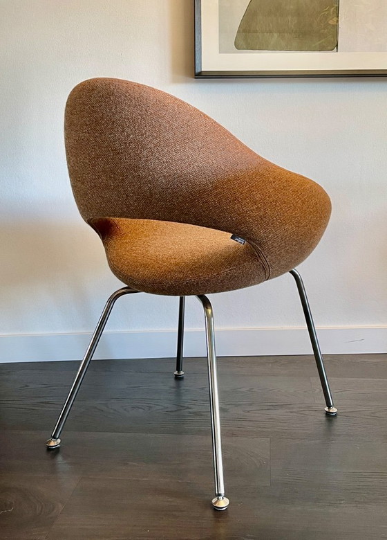 Image 1 of 4x Artifort Shark eetkamer stoelen