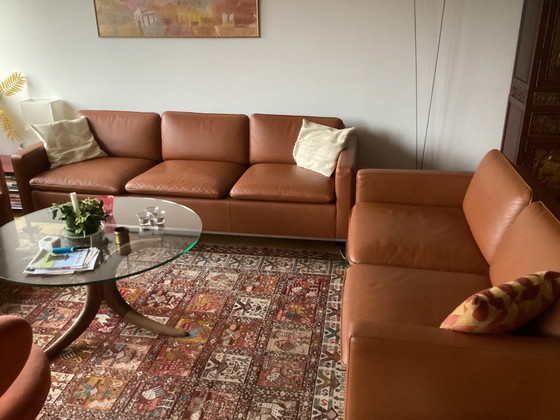 Image 1 of Sofás con estilo (2 y 3 plazas)