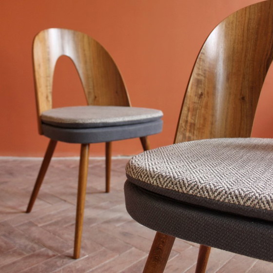 Image 1 of Sillas icónicas de Antonín Šuman con respaldos curvos chapados en madera, estilo moderno de mediados de siglo, década de 1960.