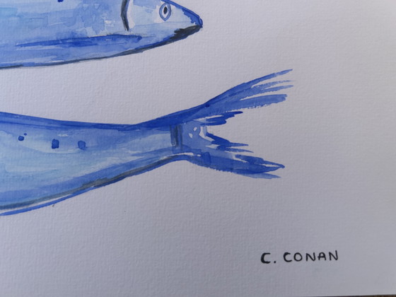Image 1 of Watercolor Mackerel