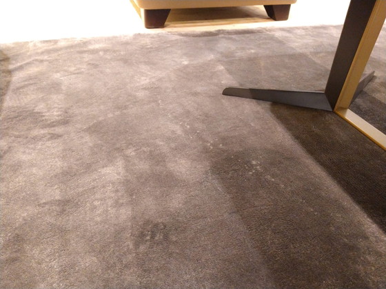 Image 1 of The Wool Studio Samtteppich - 190x230