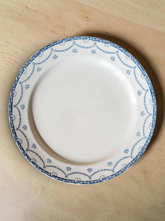 Plato redondo semihondo de loza inglesa "Cheltenham" — F. Winkle & Co. – Porcelain, Art Nouveau (photo 6 of 6)