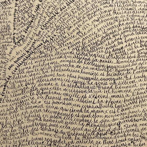 Portrait Calligramme Victor Hugo, Affiche Lithographique d'après M. Gaillard, Fin du XIXe siècle – Paper (photo 6 of 8)