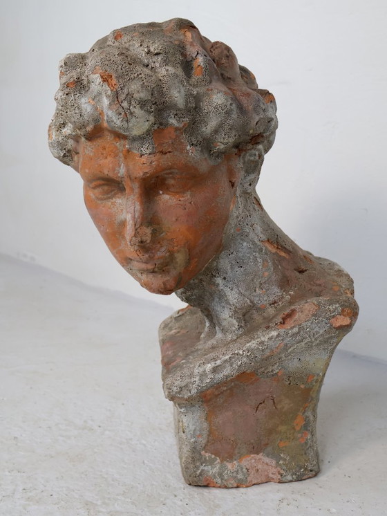 Busto in terracotta patinata (stile greco) – Sculture, Other (photo 2 of 5)