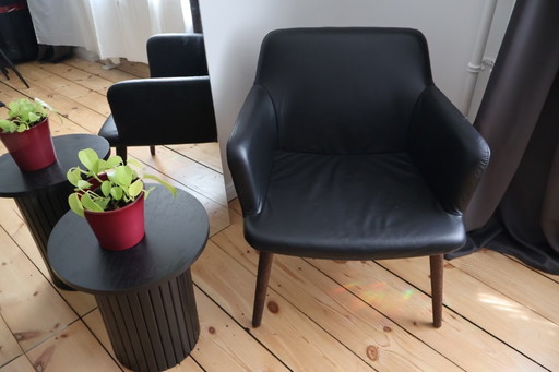 Fauteuils Bolia C3 en cuir