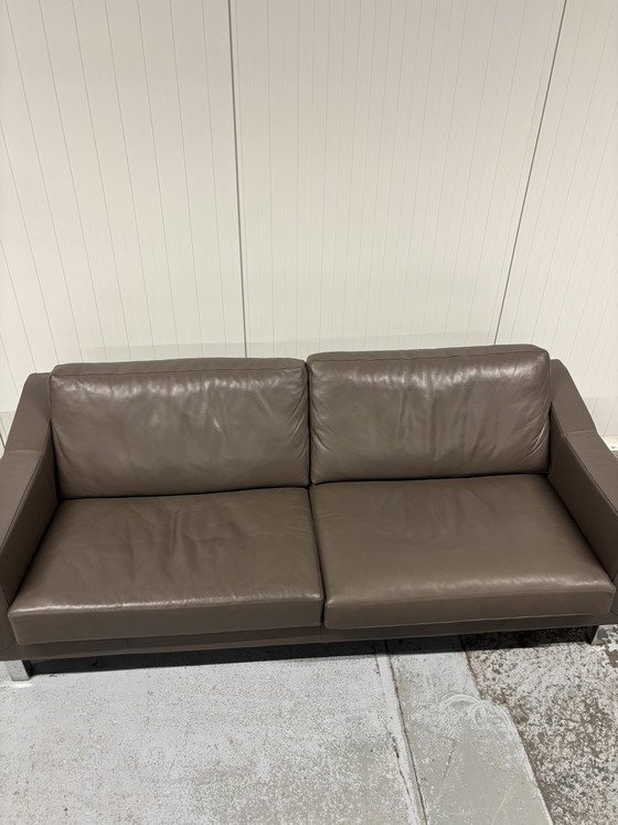 Sofá Leolux Antonia 2,5 plazas – Sofás de 2 plazas, Leather (photo 4 of 6)