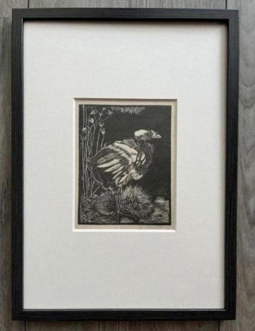 Jan Mankes 1889-1920 / Héliogravure originale Nestkuiken 1923