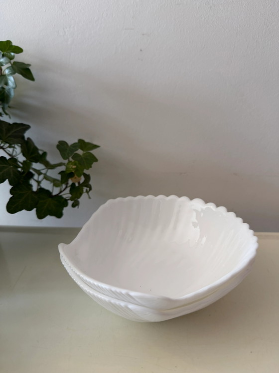 Zwei Muschelschalen (photo 5 of 5)