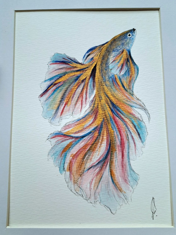 Pittura acquerello pesce Betta Halfmoon Oro| Con cornice I, Dipinti e disegni, Carta, Multicolore (foto 3 di 5)